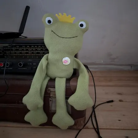 Im Gruenen Bei Den Schafen Schlafen! * Rackwitz